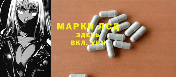 ПСИЛОЦИБИНОВЫЕ ГРИБЫ Абаза