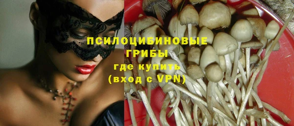 спиды Алексеевка