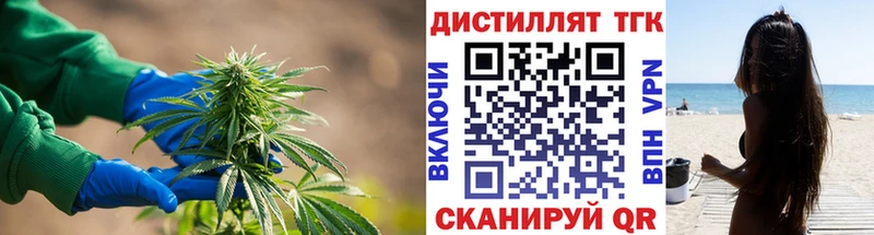 Дистиллят ТГК концентрат  OMG   Кызыл 